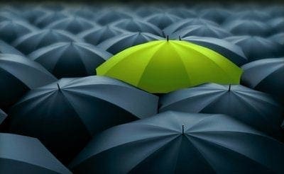 Online Bidding Platforms: The Difference Between Direct and Marketplace