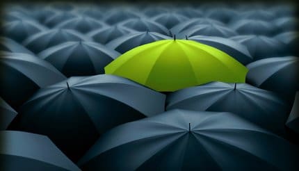 Online Bidding Platforms: The Difference Between Direct and Marketplace